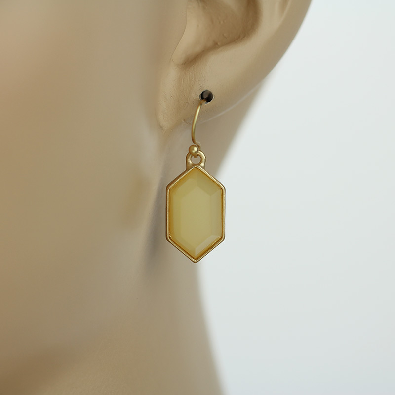 Fashion Fish Hook Earrings