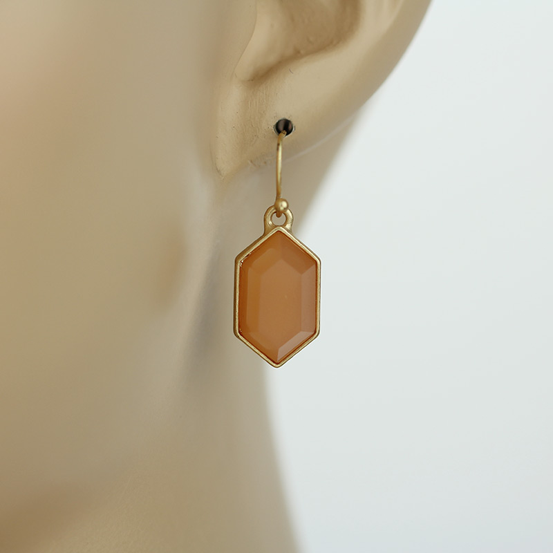 Fashion Fish Hook Earrings