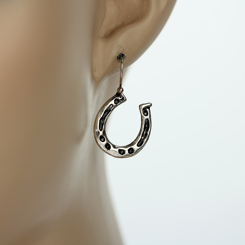Horseshoe Fish Hook Earrings