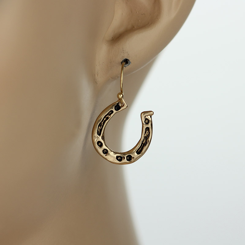 Horseshoe Fish Hook Earrings