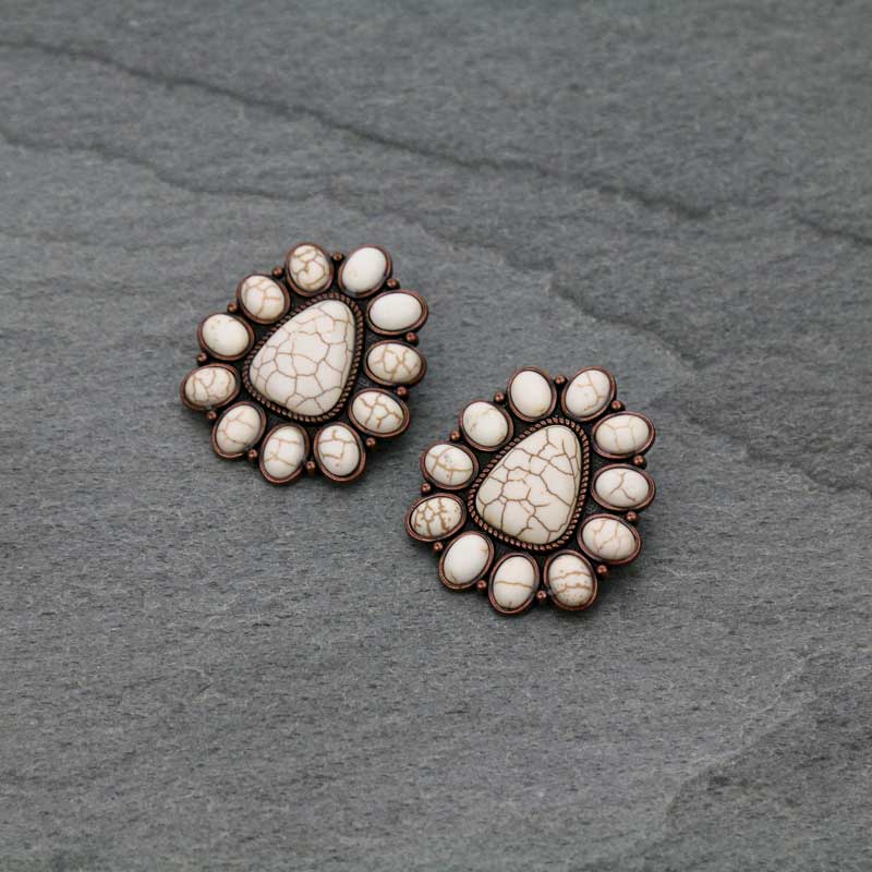Western Style Stone Post Earrings