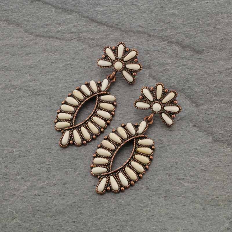 Western Style Stone Post Earrings