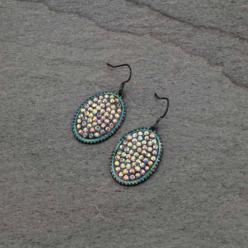 Western Stone Fish Hook Earrings