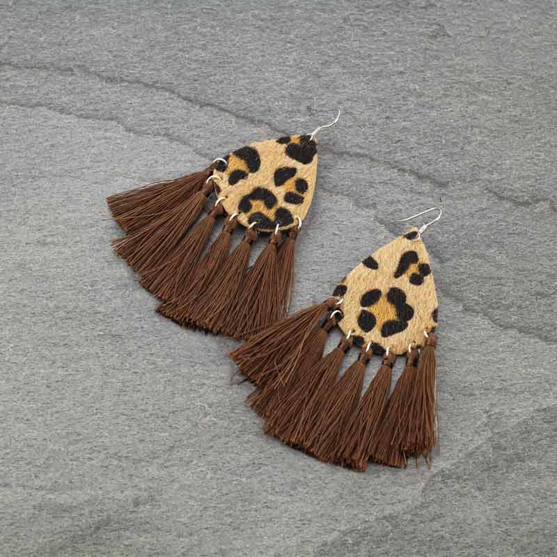 Tassel Fish Hook Earrings
