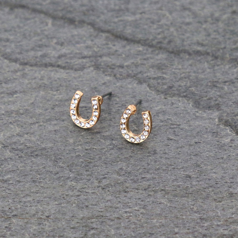 Horseshoe Post Earrings
