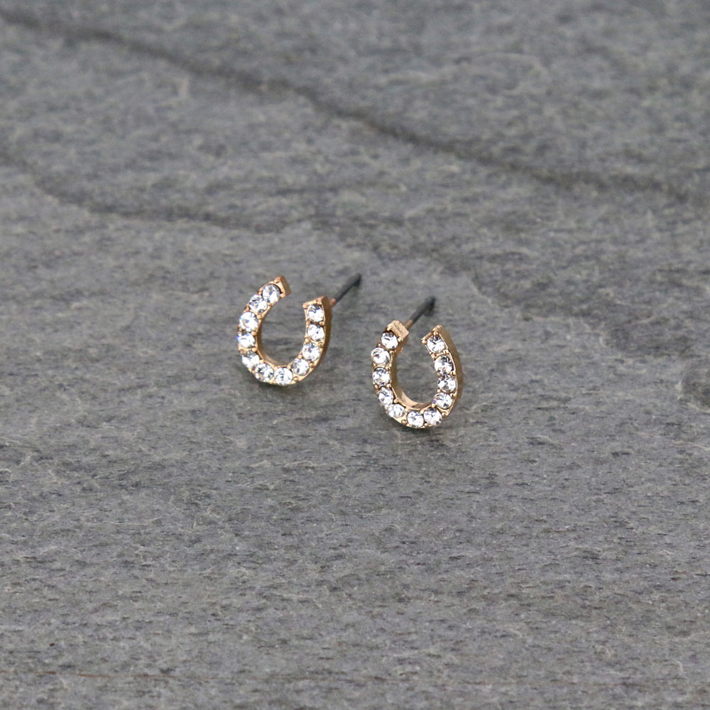 Horseshoe Post Earrings