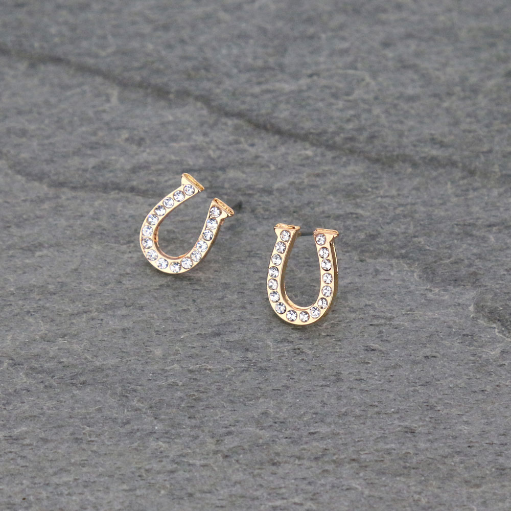 Horseshoe Post Earrings