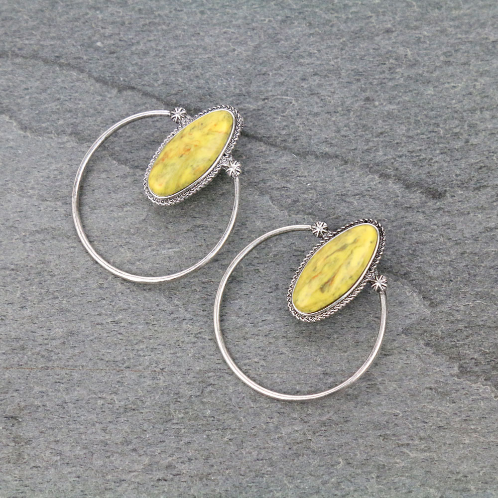 Stone Circle Stud Earrings