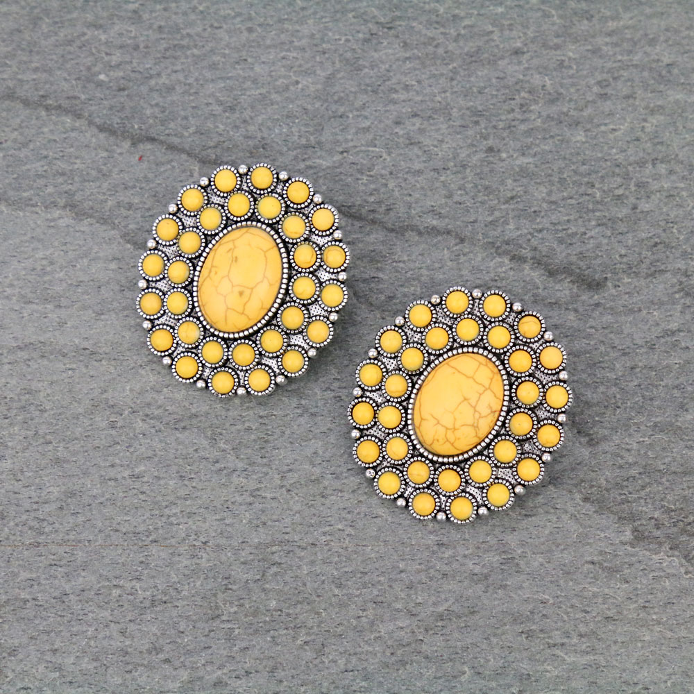 Western Stone Post Earrings
