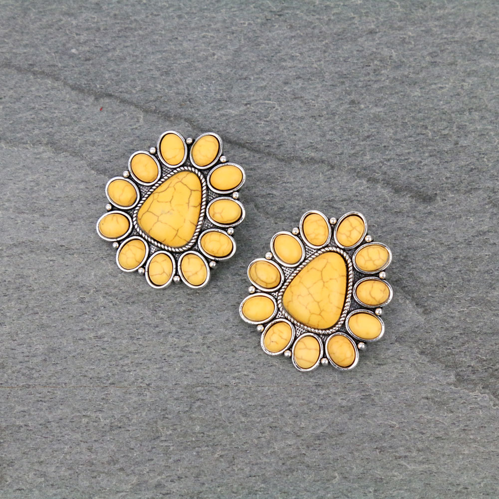 Western Style Stone Post Earrings