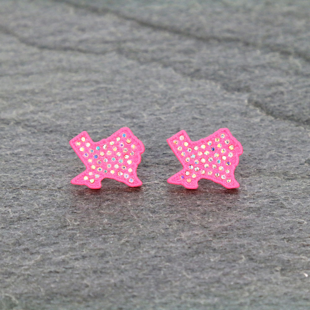 Texas Map Stone Stud Earrings