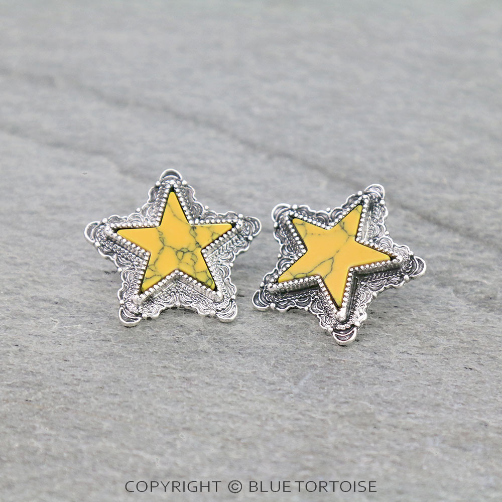 Star Stone Stud Earrings