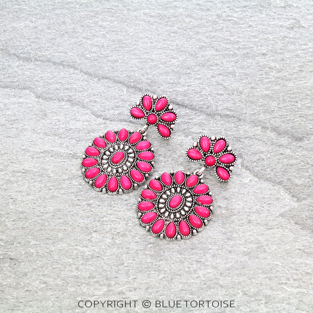 Western Design Stone Stud Earrings