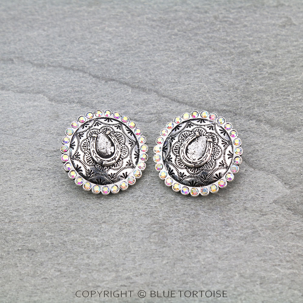 Western Horseshoe with Stone Stud Earrings