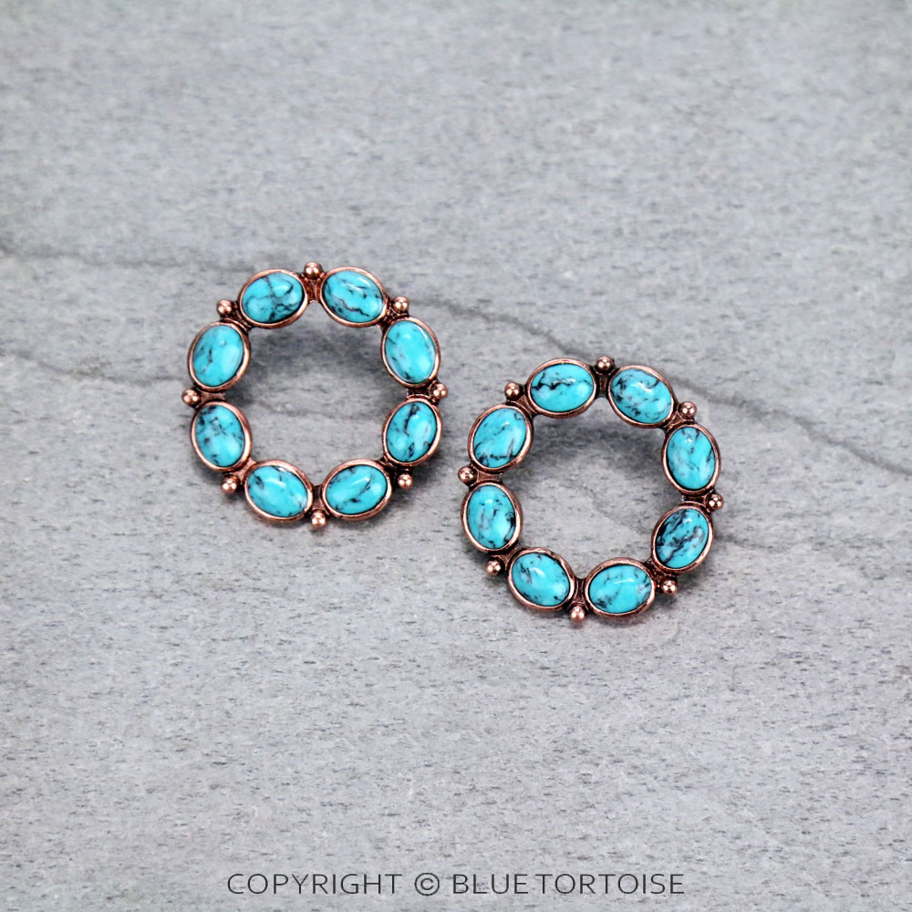 Circle Shape Stone Stud Earrings
