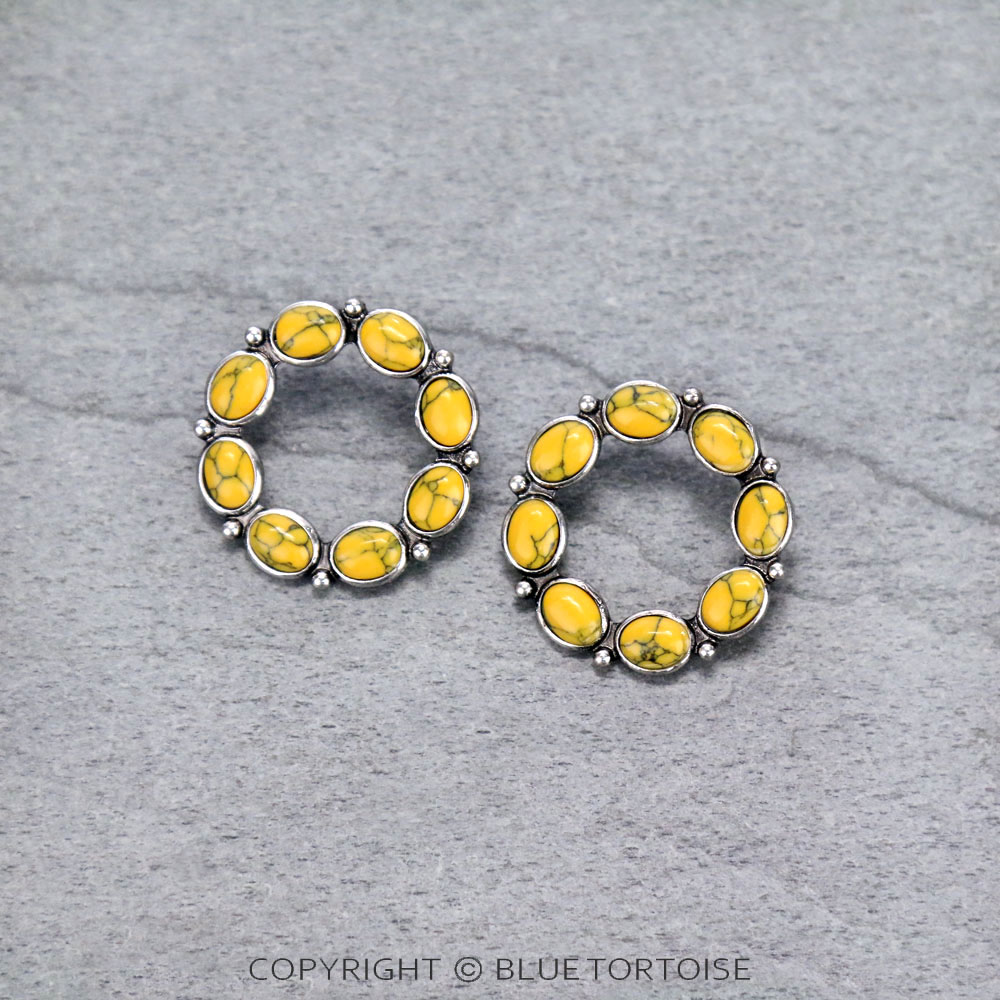 Circle Shape Stone Stud Earrings