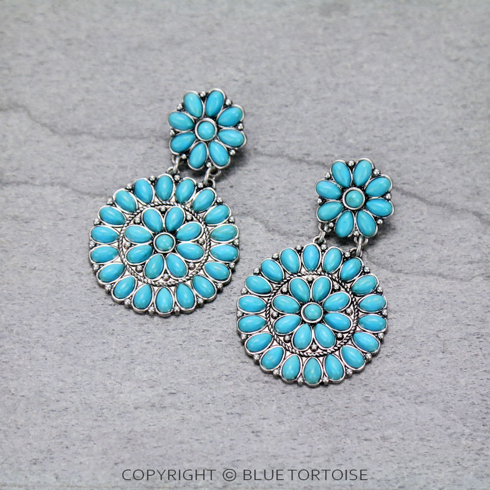 Western Synthetic Stone Stud Earrings