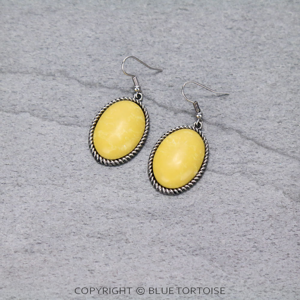 Western Oval Stone Dangle Earrings
