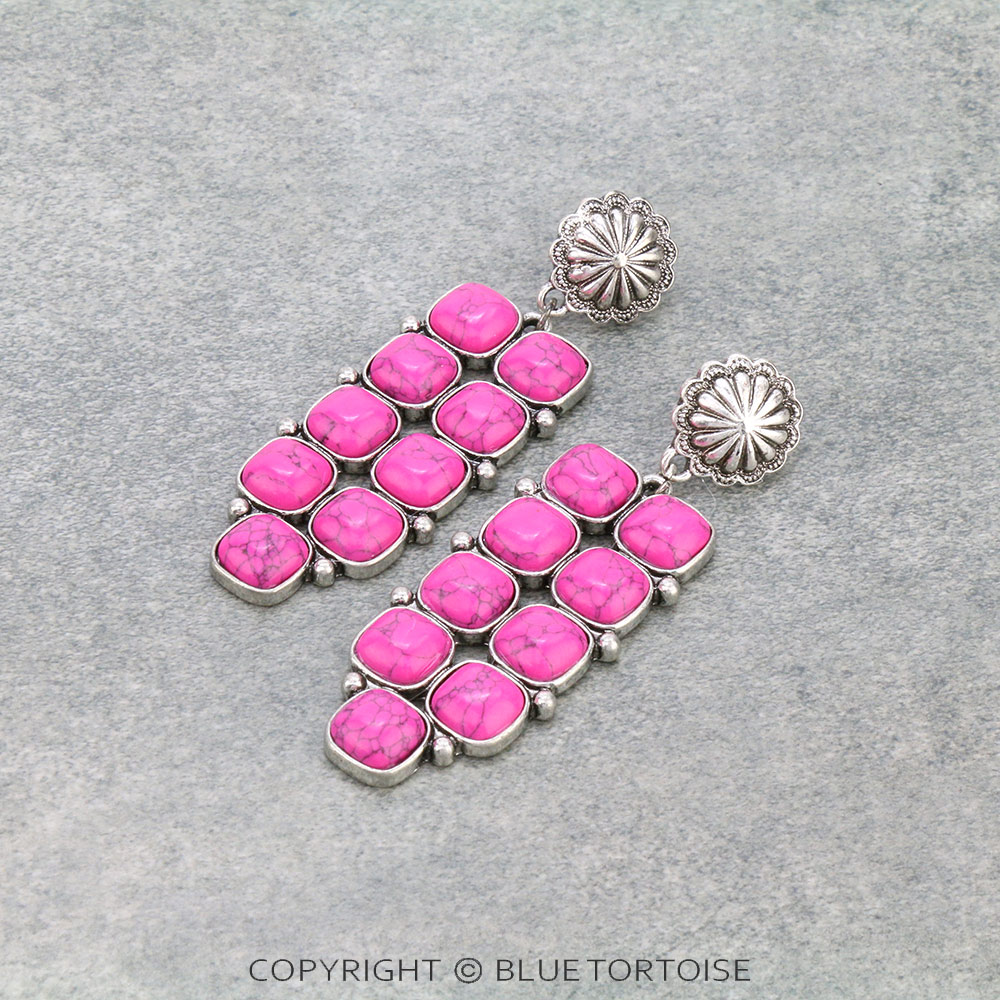 Western Stone Bar Stud Earrings
