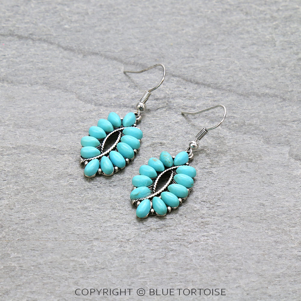 Western Style Stone Dangle Earrings