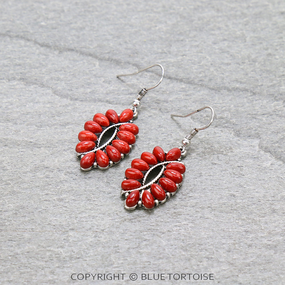 Western Style Stone Dangle Earrings