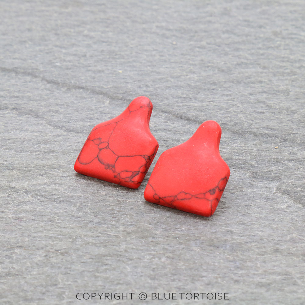 Western Ear Tag Stud Earrings