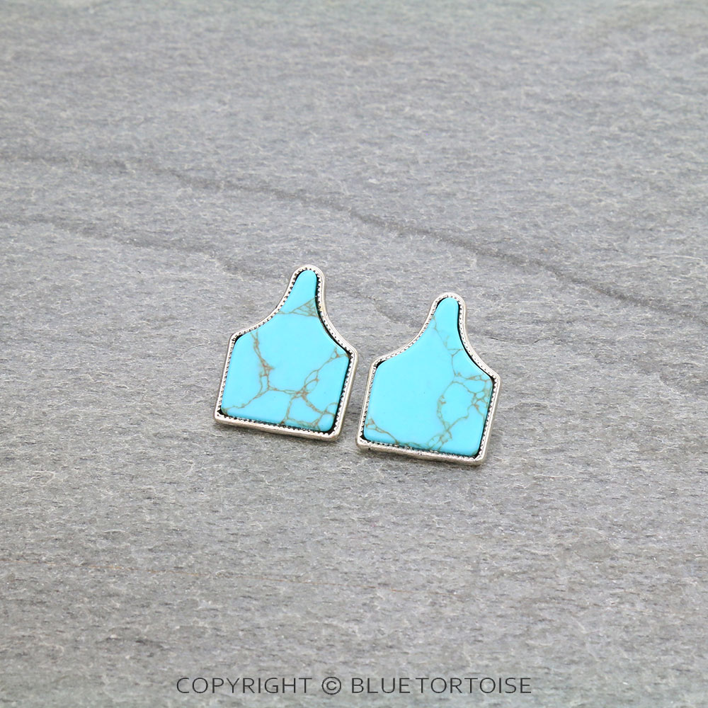 Western Cattle Tag Stone Stud Earrings