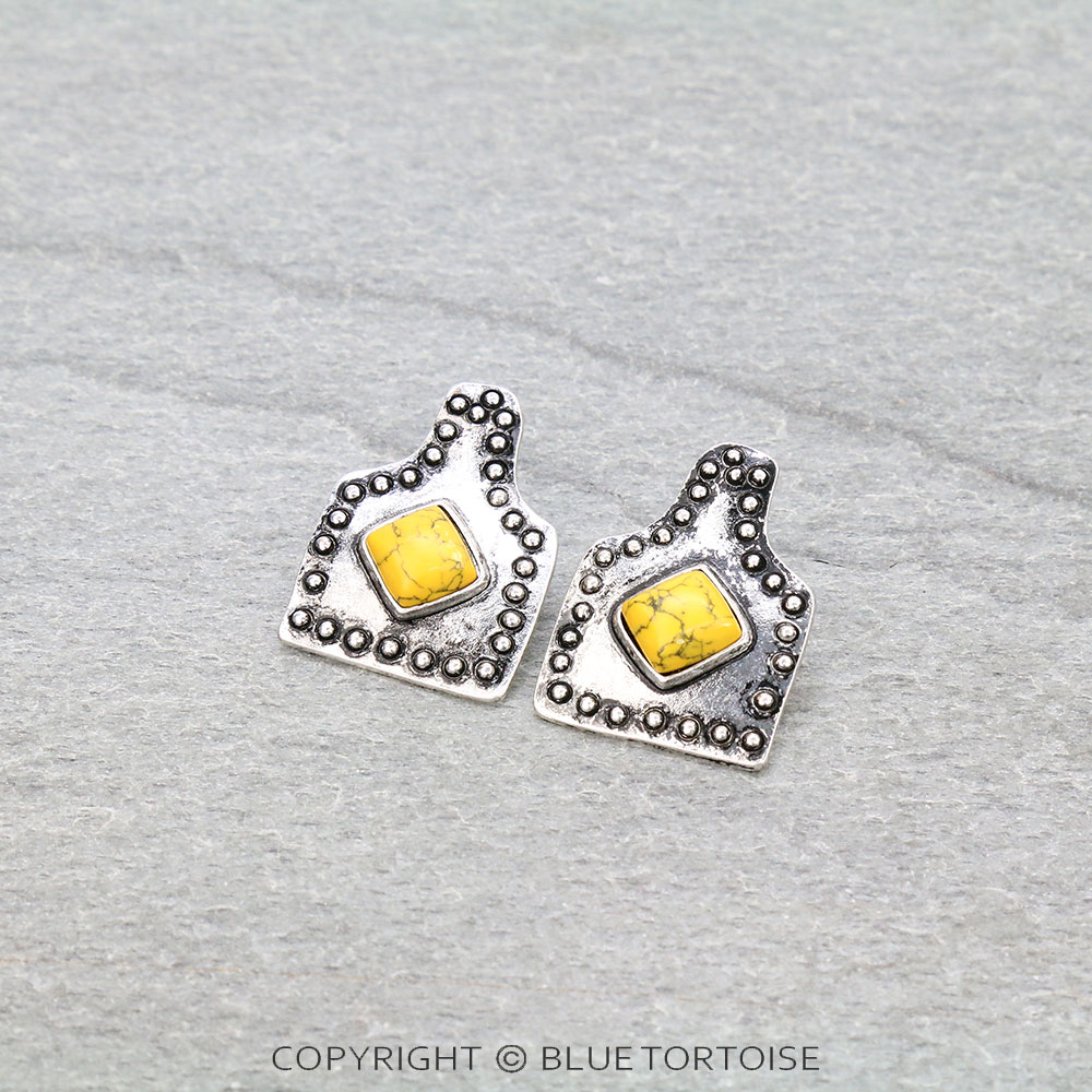 1.25" Western Ear Tag with Stone Stud Earrings