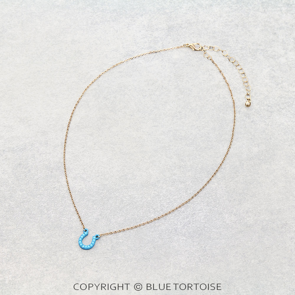 Pave Stone Horseshoe Necklace