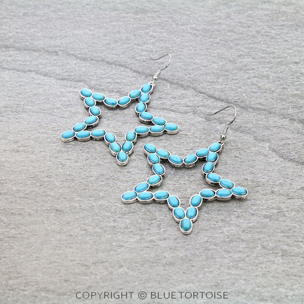 Star Shape Stone Dangle Earrings