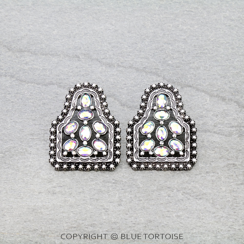 Western Ear Tag Stone Stud Earrings