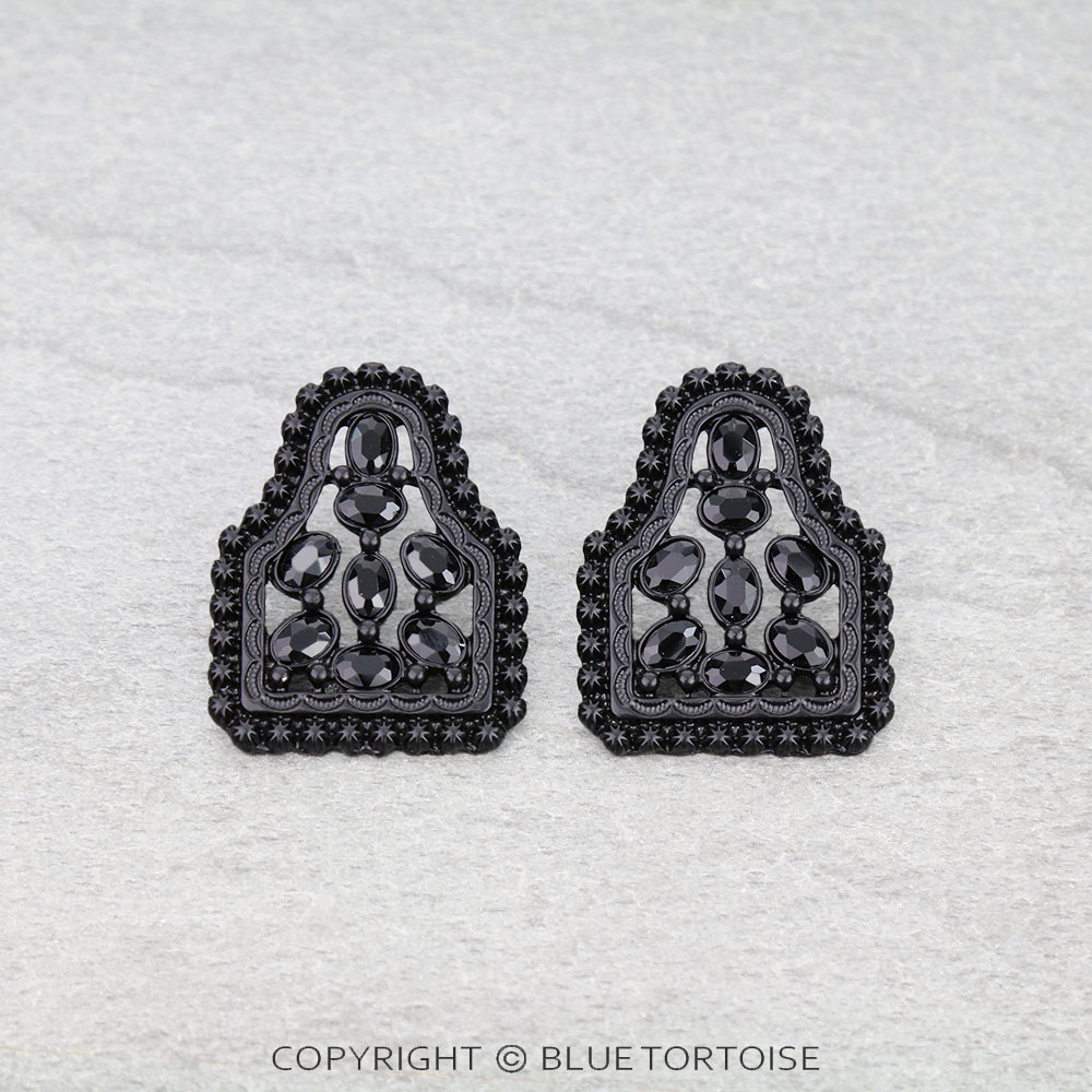 Western Ear Tag Stone Stud Earrings