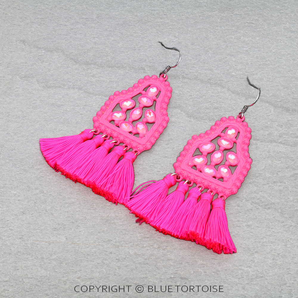 Western Ear Tag Stone with Tassel Dangle Earrings