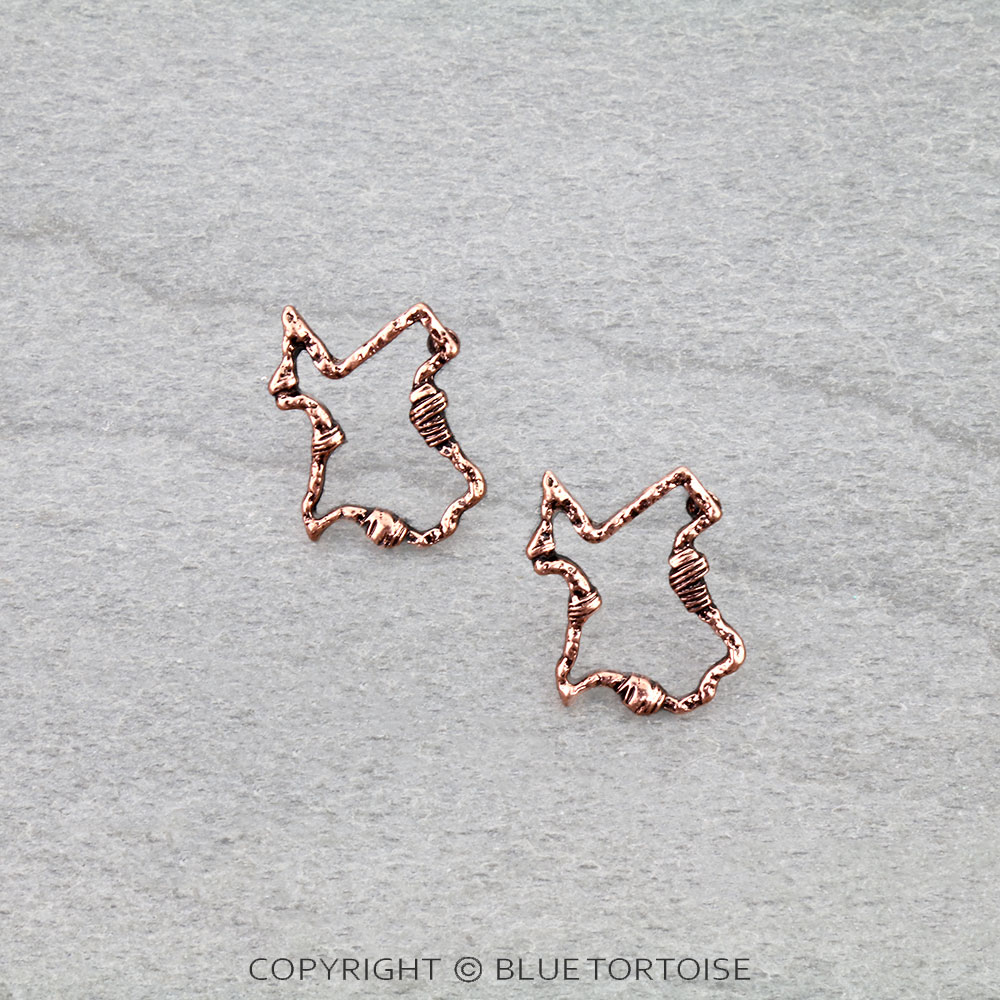 Western Barbed Texture Texas Map Stud Earrings