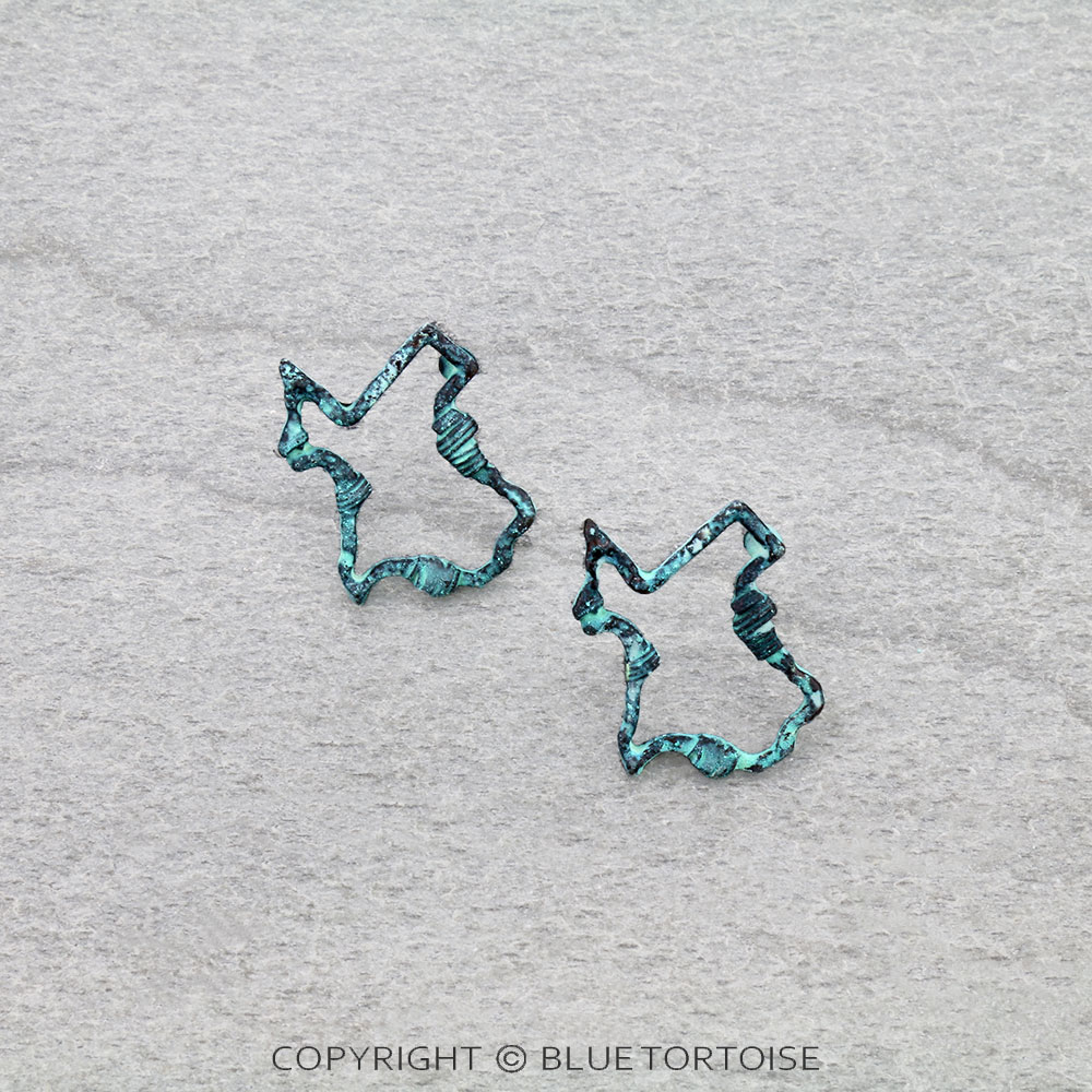 Western Barbed Texture Texas Map Stud Earrings
