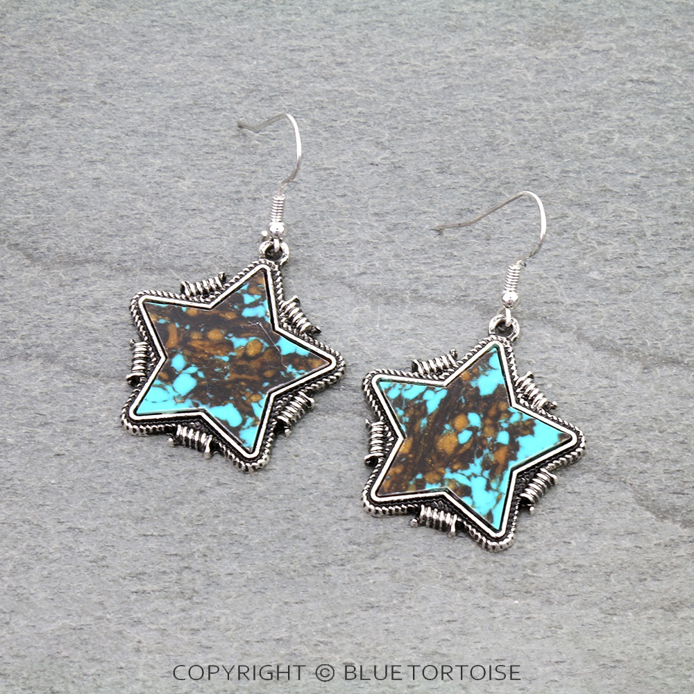 Barbed TXR Star Stone Dangle Earrings