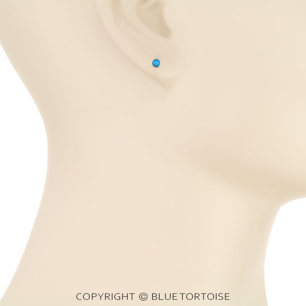 Stainless Round Stone Flat Back Sleeper Earrings - Image 2