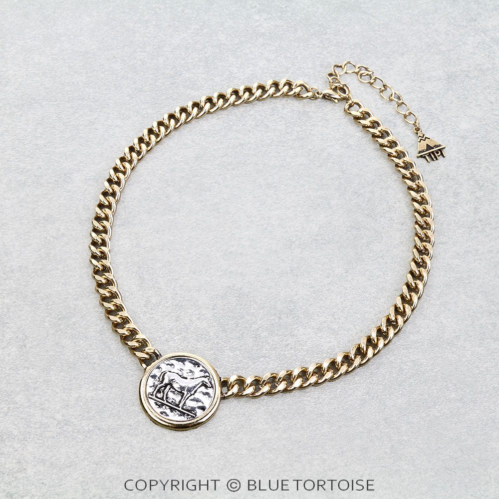 Western Horse Coin Chain Necklace